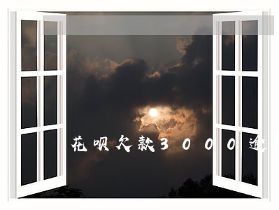 花呗欠款3000逾期3年上门