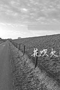 花呗欠款3000逾期九个月