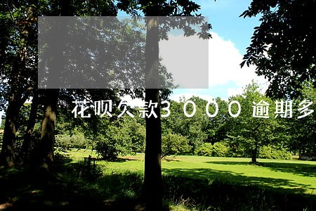 花呗欠款3000逾期多久
