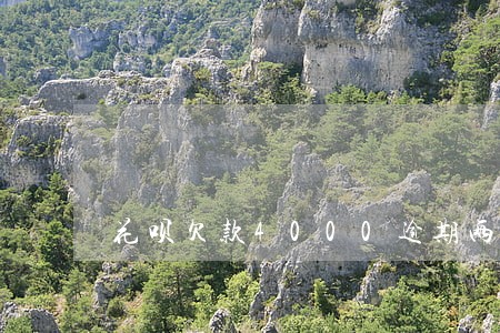 花呗欠款4000逾期两年 花呗欠款4000逾期两年