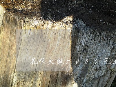 花呗欠款5000元逾期一年 花呗欠款5000元逾期一年