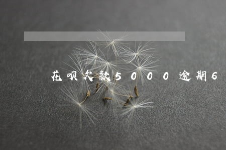 花呗欠款5000逾期600天 花呗欠款5000逾期600天
