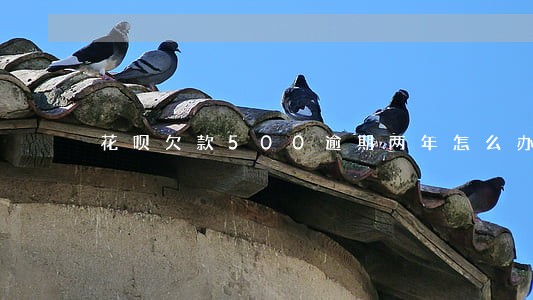 花呗欠款500逾期两年怎么办 花呗欠款500逾期两年怎么办