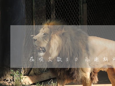 花呗欠款50元逾期两年