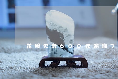 花呗欠款600元逾期74天 花呗欠款600元逾期74天