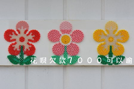 花呗欠款7000可以逾期半年吗 花呗欠款7000可以逾期半年吗