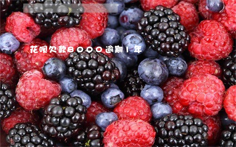 花呗欠款8000逾期1年 花呗欠款8000逾期1年