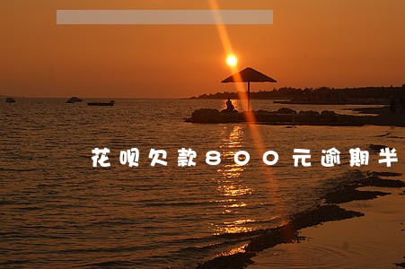 花呗欠款800元逾期半年了