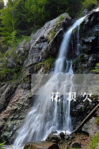 花呗欠款80逾期5天会怎样 花呗欠款80逾期5天会怎样