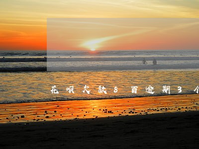 花呗欠款8百逾期3个月
