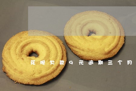 花呗欠款9元逾期三个月 花呗欠款9元逾期三个月