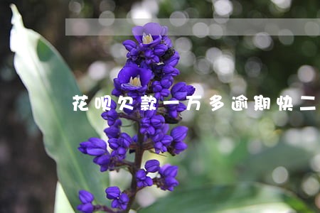 花呗欠款一万多逾期快二年了 花呗欠款一万多逾期快二年了