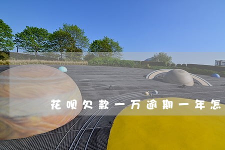 花呗欠款一万逾期一年怎么协商 花呗欠款一万逾期一年怎么协商