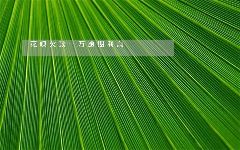 花呗欠款一万逾期利息 花呗欠款一万逾期利息