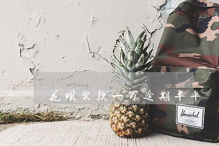 花呗欠款一万逾期半年 花呗欠款一万逾期半年