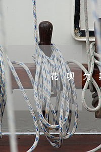 花呗欠款一千多逾期 花呗欠款一千多逾期