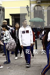 花呗欠款一天能逾期多少 花呗欠款一天能逾期多少