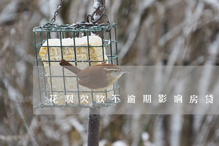 花呗欠款不逾期影响房贷吗 花呗欠款不逾期影响房贷吗