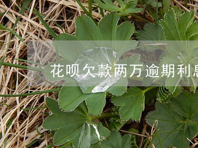 花呗欠款两万逾期利息