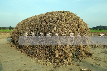 花呗欠款五千逾期45天 花呗欠款五千逾期45天