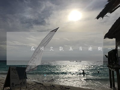 花呗欠款五百逾期一年