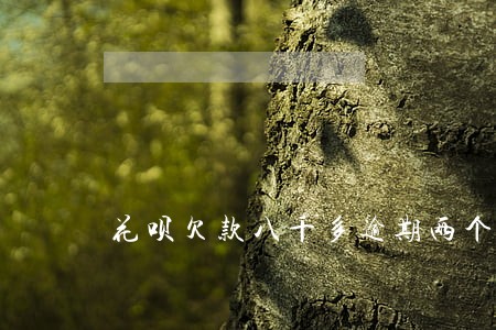 花呗欠款八千多逾期两个月 花呗欠款八千多逾期两个月
