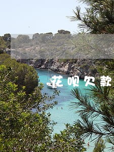 花呗欠款六千两个月逾期 花呗欠款六千两个月逾期