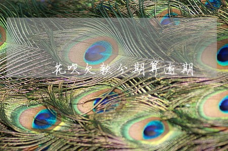 花呗欠款分期算逾期 花呗欠款分期算逾期