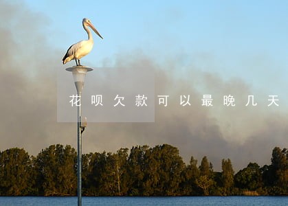 花呗欠款可以最晚几天还不算逾期