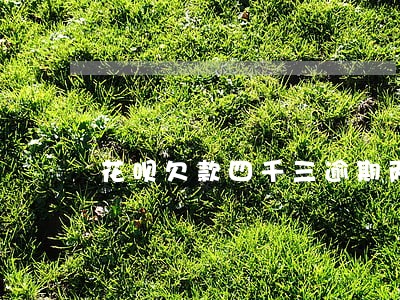 花呗欠款四千三逾期两三个月