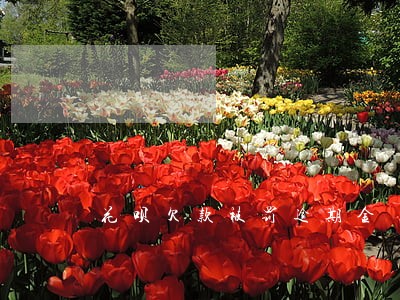 花呗欠款被罚逾期金 花呗欠款被罚逾期金