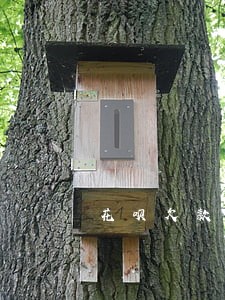 花呗欠款逾期100元 花呗欠款逾期100元