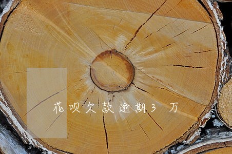 花呗欠款逾期3万 花呗欠款逾期3万