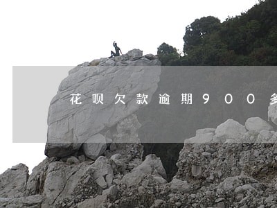 花呗欠款逾期900多怎么办 花呗欠款逾期900多怎么办