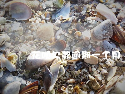 花呗欠款逾期一个月 花呗欠款逾期一个月
