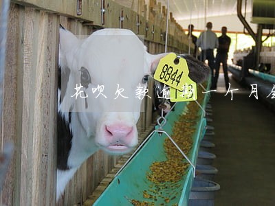 花呗欠款逾期一个月会怎么样 花呗欠款逾期一个月会怎么样