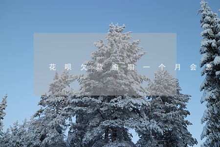 花呗欠款逾期一个月会怎样 花呗欠款逾期一个月会怎样