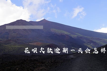 花呗欠款逾期一天会怎样 花呗欠款逾期一天会怎样