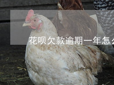 花呗欠款逾期一年怎么办 花呗欠款逾期一年怎么办