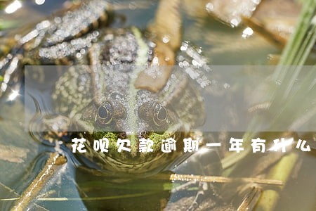 花呗欠款逾期一年有什么影响 花呗欠款逾期一年有什么影响