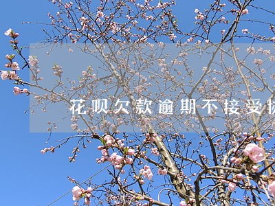 花呗欠款逾期不接受协商怎么举报 花呗欠款逾期不接受协商怎么举报