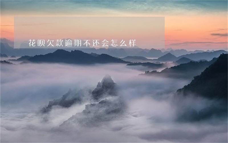 花呗欠款逾期不还会怎么样 花呗欠款逾期不还会怎么样