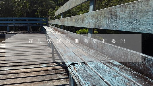 花呗欠款逾期会到村委吗 花呗欠款逾期会到村委吗