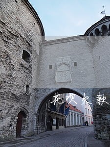 花呗欠款逾期会影响政审吗