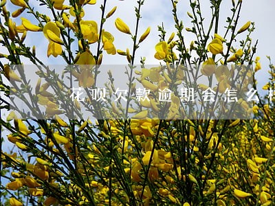 花呗欠款逾期会怎么样 花呗欠款逾期会怎么样