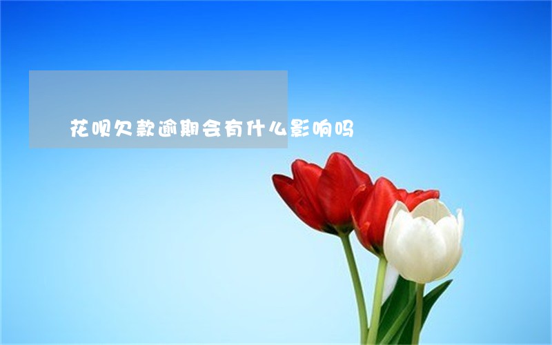 花呗欠款逾期会有什么影响吗 花呗欠款逾期会有什么影响吗
