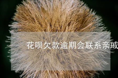 花呗欠款逾期会联系亲戚朋友吗 花呗欠款逾期会联系亲戚朋友吗