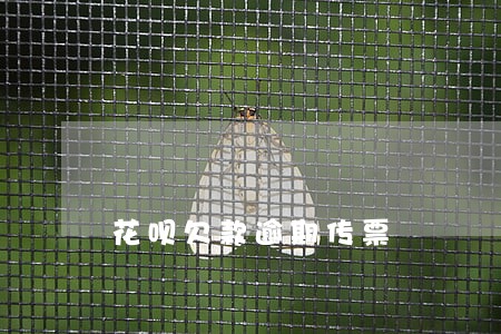 花呗欠款逾期传票 花呗欠款逾期传票