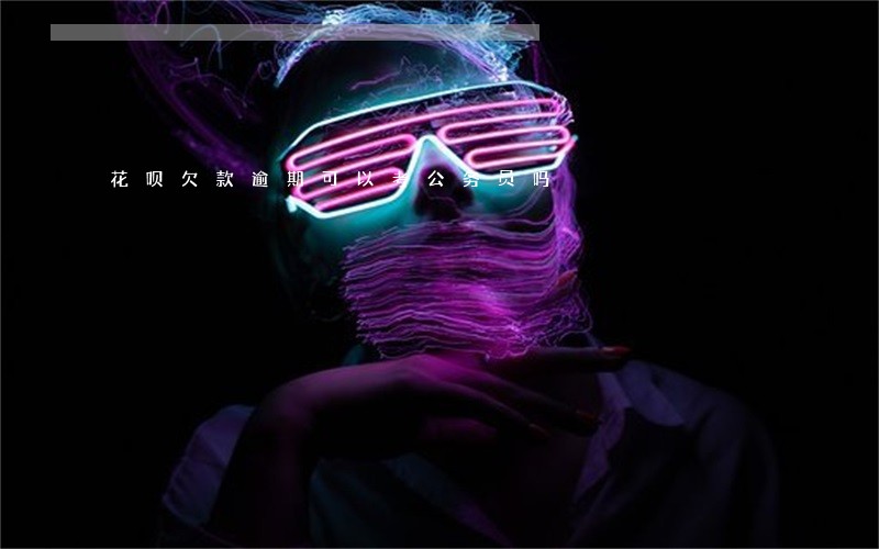 花呗欠款逾期可以考公务员吗
