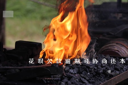 花呗欠款逾期可协商还本金吗 花呗欠款逾期可协商还本金吗